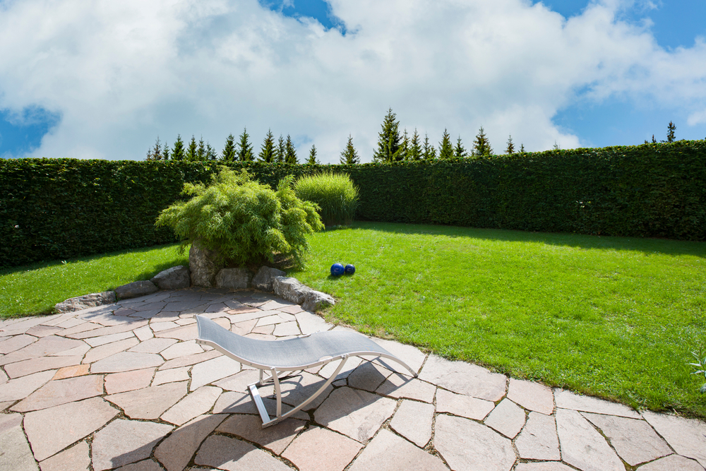 shutterstock 1938629977