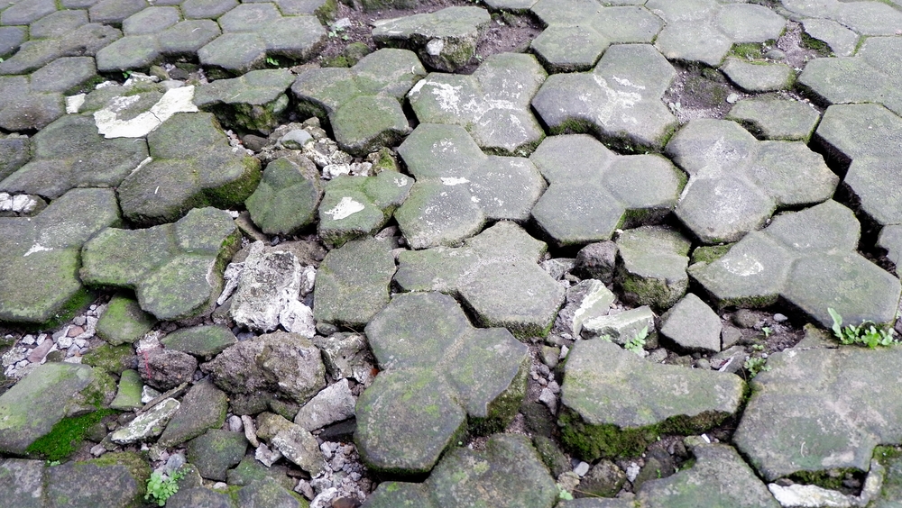 shutterstock 2596037377